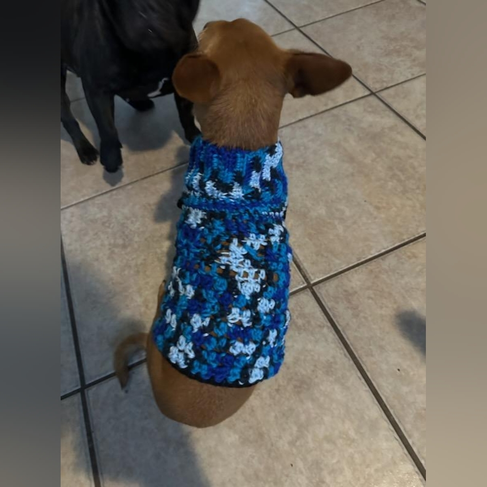 Dog sweater and Beanie set
